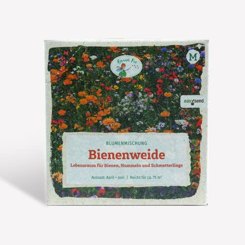 Blumensamen Bienenweide 300 Gramm - Bienenweide Saatgut Mehrjährig - Blumenwiese Samen Blühmischung - Mischung Premium Bienen Saatgut mit 38 Sorten Wildblumen - Wildblumenwiese Samen Mehrjährig von Grüne Fee