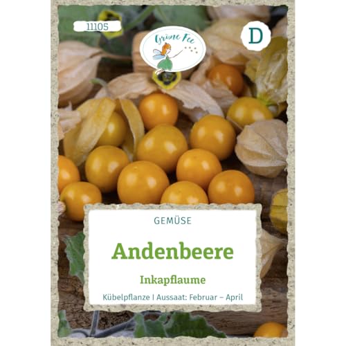 Grüne Fee - Andenbeere Inkapflaume Samen - 11105 von Grüne Fee