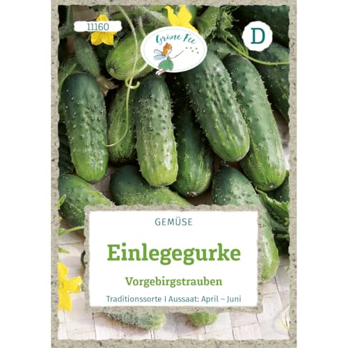 Grüne Fee - Einlegegurke Vorgebirgstrauben Samen - 11160 von Grüne Fee