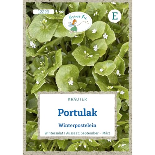 Grüne Fee - Portulak Winterpostelein Samen - 12229 von Grüne Fee