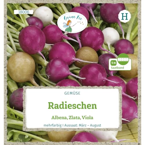 Grüne Fee - Radieschen Albena Zlata Viola Saatband 5 m Samen - 18006 von Grüne Fee
