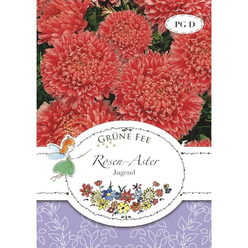 Grüne Fee - Rosen-Aster Jugend Samen - 13150 von Grüne Fee