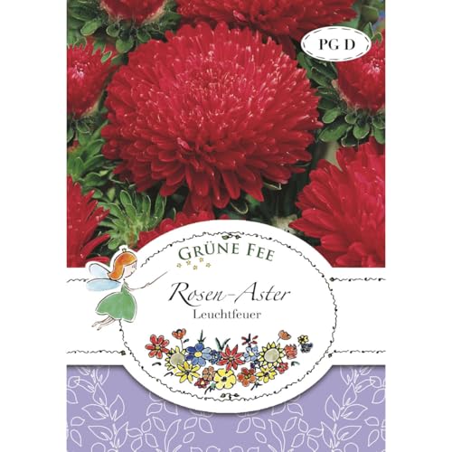 Grüne Fee - Rosen-Aster Leuchtfeuer Samen - 13155 von Grüne Fee