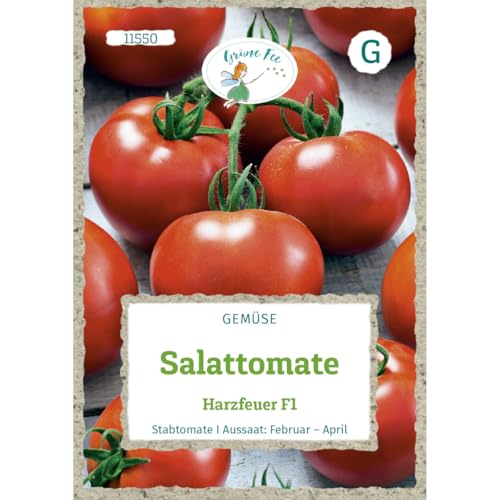 Grüne Fee - Salattomate Harzfeuer F1 Samen - 11550 von Grüne Fee