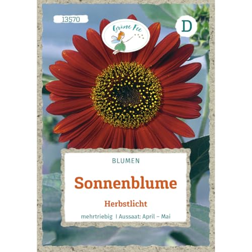 Grüne Fee - Sonnenblume Herbstlicht Samen - 13570 von Grüne Fee