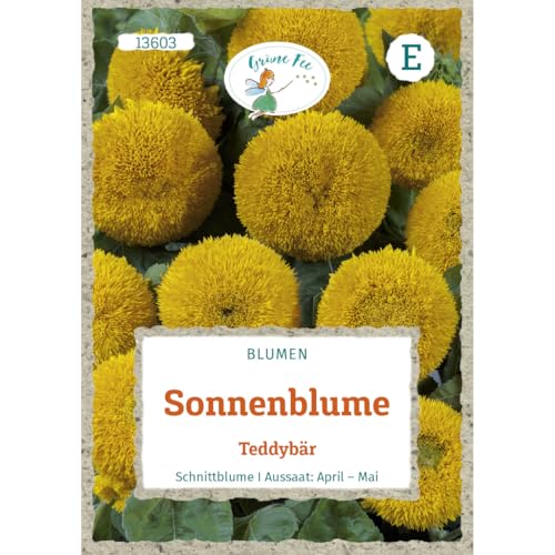 Grüne Fee - Sonnenblume Teddybär Samen - 13603 von Grüne Fee
