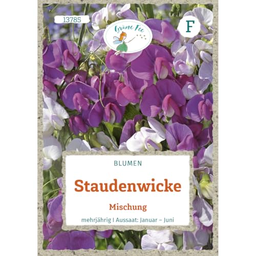 Grüne Fee - Staudenwicke Mischung Samen - 13785 von Grüne Fee