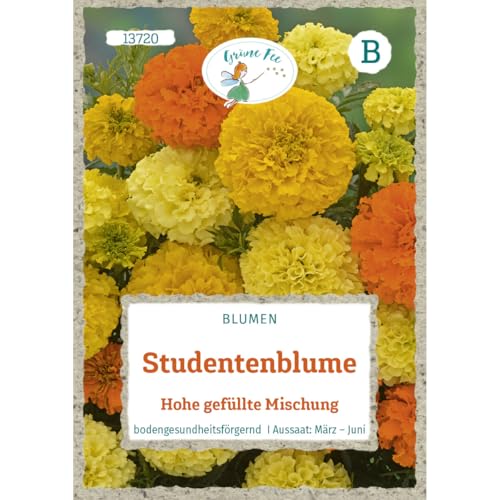 Grüne Fee - Studentenblume Hohe gefüllte Mischung Samen - 13720 von Grüne Fee