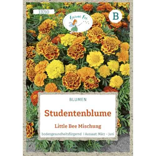 Grüne Fee - Studentenblume Little Bee Mischung Samen - 13710 von Grüne Fee