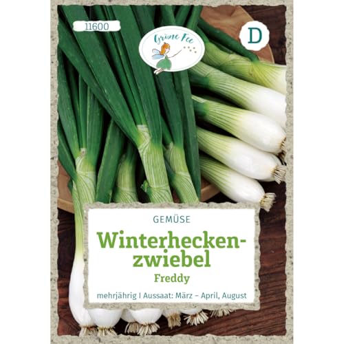 Grüne Fee - Winterheckenzwiebel Freddy Samen - 11600 von Grüne Fee