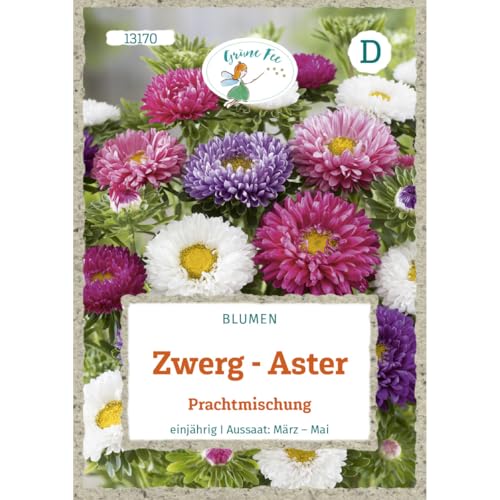 Grüne Fee - Zwerg-Aster Prachtmischung Samen - 13170 von Grüne Fee