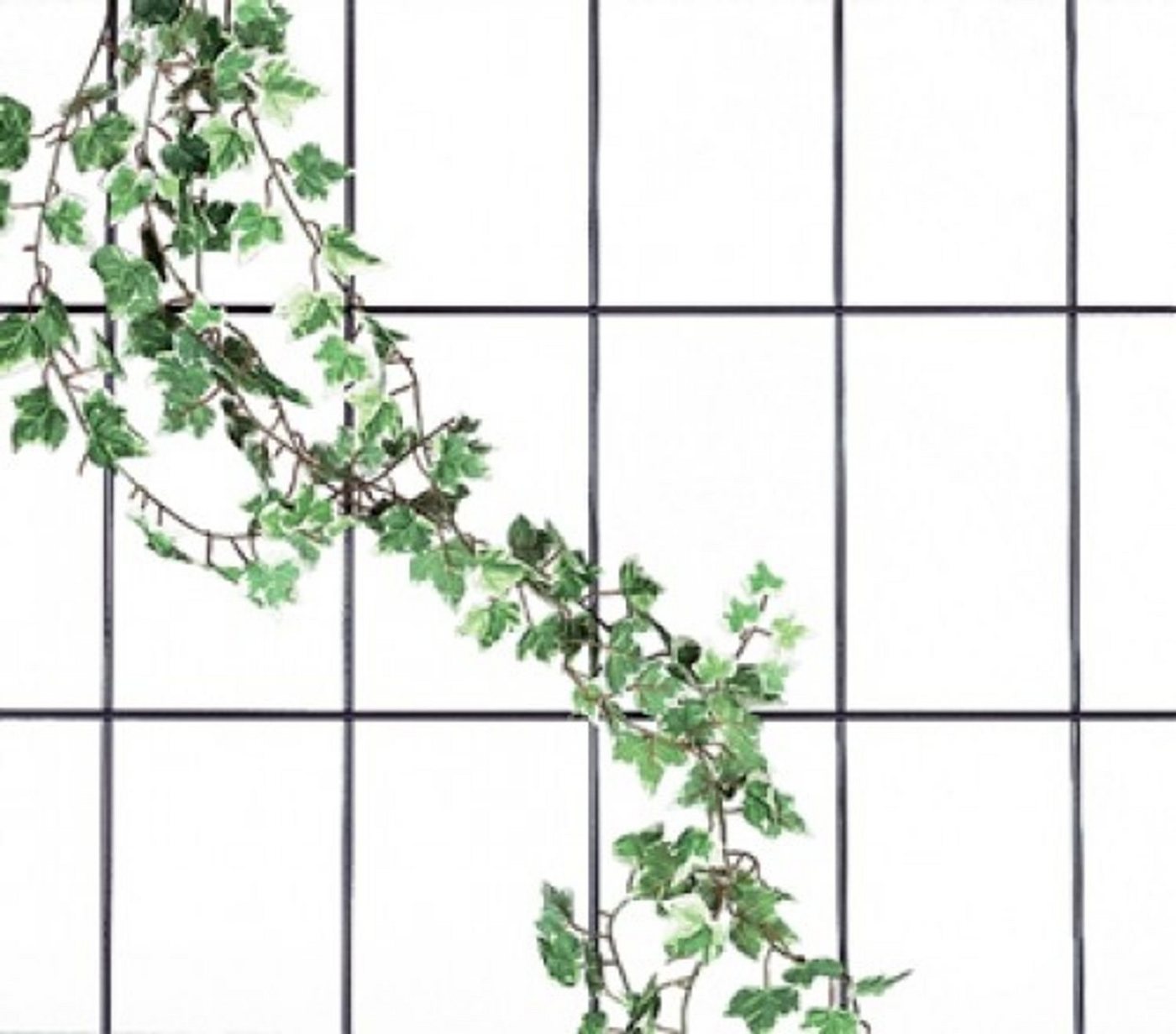 BURI Spalier Blumenspalier aus Metall 150x75cm Rankgitter Rankhilfe Rosengitter Pfl von BURI