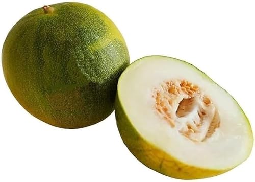 10 Samen Limelon, Limetten-Melone, Limemelon, neuartige Züchtung, frisches Saatgut, Obst, esssbare, gesunde, süß-säuerliche Früchte, exotische Samen für Garten, Balkon. (10) von Grünerer Daumen
