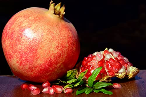 Granatapfel Samen, Punica granatum, Granatapfelkerne, frisches Saatgut, Obst, mehrjährig, essbare, gesunde, süße Früchte, exotische Samen für Garten, Balkon oder Fensterbrett (15) von Grünerer Daumen