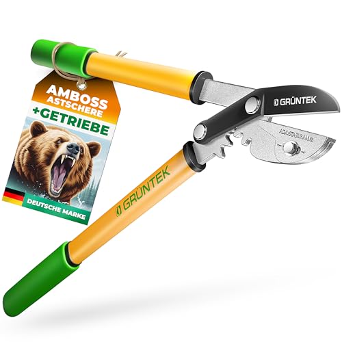GRÜNTEK GRIZZLY Astschere mit Metall-Amboss, SK5-Stahl & Antihaftbeschichtung – 60mm Klingenlänge, 2-fach-Getriebe Baumschere, Antirutsch-Griffe, ergonomisch, Heckenschere von GRÜNTEK