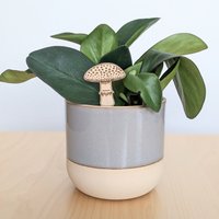 Süßer Pilz Pflanzen Freund - Zimmerpflanze Accessoire Dekoration Geschenk Für Pflanzenliebhaber Und Gärtner Buddy von GrunwaldGoods