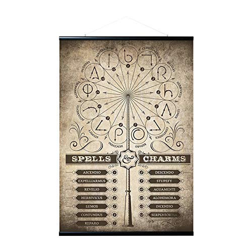 Grupo Erik Magnetische Posterleiste mit Poster - Harry Potter Zaubersprüche und Verwünschungen - Poster mit Rahmen Grupo Erik Magnetische Posterleiste mit Poster - Harry Potter Zaubersprüche und Verwünschungen - Poster mit Rahmen von Grupo Erik