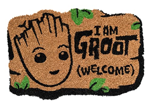 Grupo Erik Kokosmatte Fußmatte Marvel Groot - Schmutzfangmatte 40x60 cm - Fussmatte Lustig - Türmatte Innen von Grupo Erik