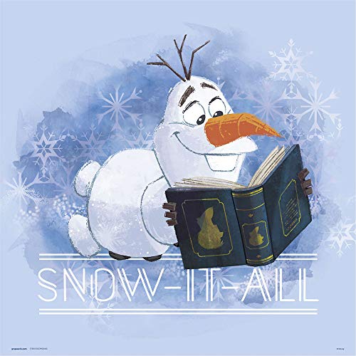 Grupo Erik Impression sur Toile la Reine des neiges Poster, Disney Frozen Snow It All, 30 x 30 cm von Grupo Erik