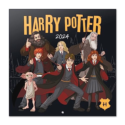 Grupo Erik Kalender 2024 Wandkalender 2024 - Harry Potter Kalender 2024 Familienplaner 30 x 30 cm Jahreskalender 12 Monate von Grupo Erik