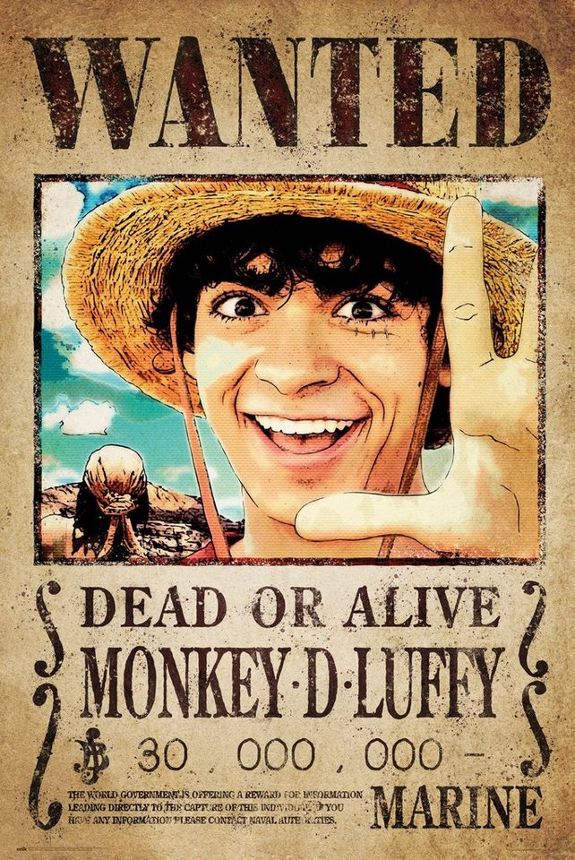 Grupo Erik Poster One Piece Poster Wanted Monkey D. Luffy 61 x 91,5 cm Grupo Erik Poster One Piece Poster Wanted Monkey D. Luffy 61 x 91,5 cm von Grupo Erik
