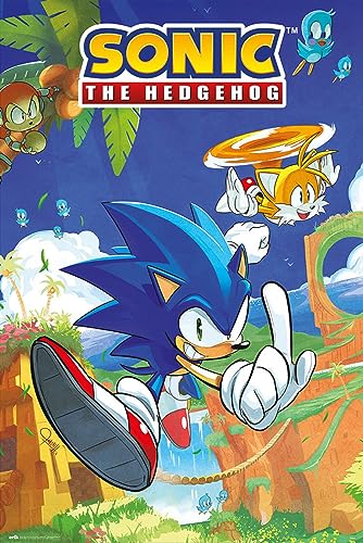 Grupo Erik Sonic The Hedgehog - Sonic & Tails Poster - 35.8x24.2inch - Shipped Rolled Up - Coole Poster - Kunstposter - Poster & Drucke - Wandposter von Grupo Erik