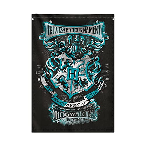 Grupo Erik WandDeko Rollbild Harry Potter Hogwarts Häuser Kakemono aus Stoff Poster 70 x 100 cm - Offizielles Lizenzprodukt von Grupo Erik