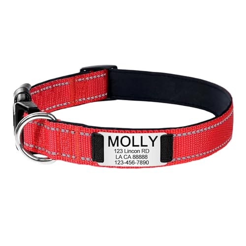 Haustierhalsbänder Gravierte Namens-ID-Tag Reflektierendes Hundehalsband Benutzerdefiniertes Nylon Personalisiert(Red 2,M 30-48cm) von GsvUbd