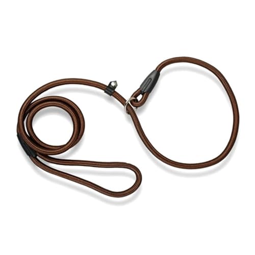 Haustierhalsbänder Nylon-Hundeleine, verstellbare Trainingsleine in P-Form(Blue 2,XS) von GsvUbd