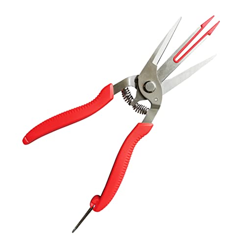 Einzigartige Designblume Dünnschere Mit Zweischneidigen Schnittscheren Gartenfrüchte Dünnschere Mit Rutschfestem Hand Pruners Professionelle Hand Pruners Hochleistungs Doppelschnitzer Apfel Einzigartige Designblume Dünnschere Mit Zweischneidigen Schnittscheren Gartenfrüchte Dünnschere Mit Rutschfestem Hand Pruners Professionelle Hand Pruners Hochleistungs Doppelschnitzer Apfel von Guaber