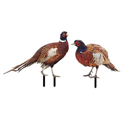 Guaber Dekorative Gartenpfahl Statue Orament 2 Pack Acrylfasen Für Den Hof Rasen Patio Kunstdekoration Skulptur Tierpheasant Dekoration Ornament von Guaber