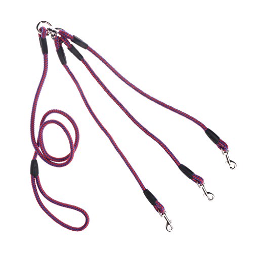 Guaber Triple Dog Leine Abnehmbar 3 In 1 Blei Long Nylon Seil Non Rutsch Für Zwei DREI Haustiere Freien Freien Aggressive Kauen Große Rasse Große Rasse Mittel Kleine Welpen Nr. von Guaber