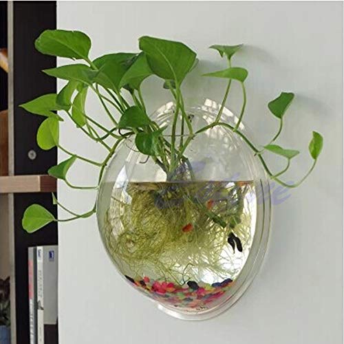 Guaber Wandmontierte Klare Acrylblasenfisch Für Tank Blumentopf Vase Dekoration Wand Hanging Fischschale Dekoratives Hydroponic Aquarium Mit Stand Combo Set Guaber Wandmontierte Klare Acrylblasenfisch Für Tank Blumentopf Vase Dekoration Wand Hanging Fischschale Dekoratives Hydroponic Aquarium Mit Stand Combo Set von Guaber