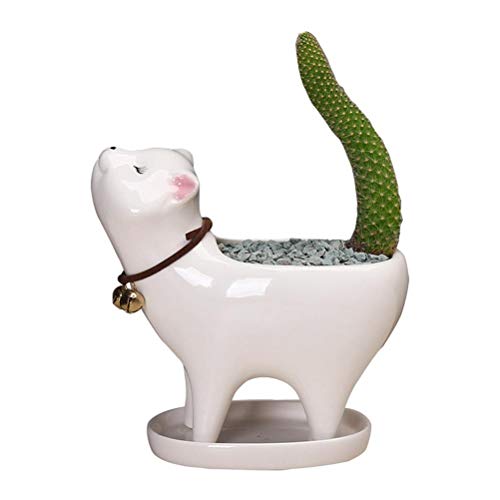 Keramik Sukkulenten Blumentopf Katzen Schwanz Sukkulenten Kaktus Töpfe Niedlich Keramik Tier Set Garten Pflanztopf Haus und Büro Dekoration Geburtstag Hochzeit von INUSPACE