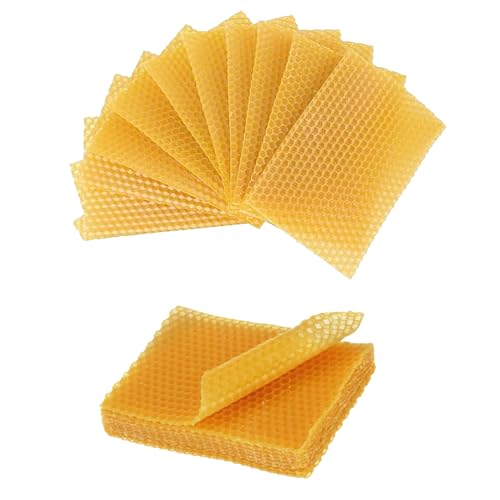 Guanici 30 Stück Bienenwachs Kerzen Bienenwachskerzen Bienenwachskerzen Selber Machen Set Wachsplatten für Kerzen Wachsplatten für Imkerei Kerzenherstellung Kunsthandwerk Möbelpolieren Guanici 30 Stück Bienenwachs Kerzen Bienenwachskerzen Bienenwachskerzen Selber Machen Set Wachsplatten für Kerzen Wachsplatten für Imkerei Kerzenherstellung Kunsthandwerk Möbelpolieren von Guanici