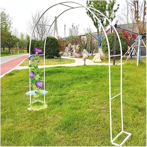 GueTTO Gartenbogen Metall Rosenbogen Torbogen Für Kletterpflanzen 1.2M 1.4M 1.8M 2M 2.4M 2.8M 3M 3.5M Breite Wetterbeständige Rankhilfe Rankgitter Rosengestell Rankenbogen,Weiß,W280*H220cm GueTTO Gartenbogen Metall Rosenbogen Torbogen Für Kletterpflanzen 1.2M 1.4M 1.8M 2M 2.4M 2.8M 3M 3.5M Breite Wetterbeständige Rankhilfe Rankgitter Rosengestell Rankenbogen,Weiß,W280*H220cm von GueTTO
