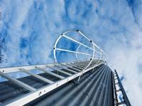 Einzügige Steigleiter mit Rückenschutz Stahl verzinkt - 520110 Einzügige Steigleiter mit Rückenschutz Stahl verzinkt - 520110 von Günzburger Steigtechnik