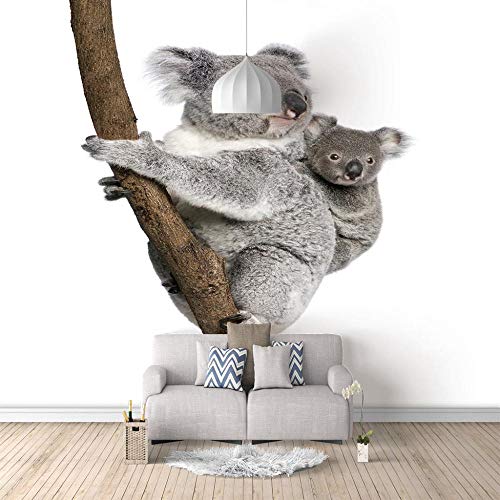Fototapete Koala 140CM X 100CM, Fototapeten, Wandbild, Motivtapeten, Panorama Wand Dekoration, Moderne Wand-deko Dekoration Wohnung Wohnzimmer Wandtapete von Guest Ruyunlai