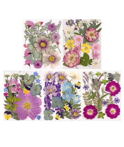 Gugxiom Getrocknete Blumen für Harz, 5 Beutel mit 100 Stück Trockenblumen Zum Basteln, 5 Farbthemen Trockenblumen für Nagelkunst, Harz, DIY-Schmuckdesign, Handyhüllen usw. (Typ 2) von Gugxiom