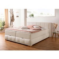 Guido Maria Kretschmer Home&Living Boxbett mit Bettkasten von Guido Maria Kretschmer Home&Living