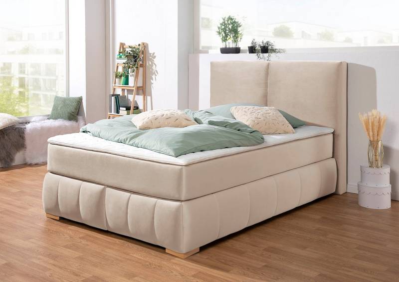 Home affaire Boxspringbett Wehma, inkl. Topper in 3 verschiedenen Matratzen, auch in Samtstoff Home affaire Boxspringbett Wehma, inkl. Topper in 3 verschiedenen Matratzen, auch in Samtstoff von Home affaire