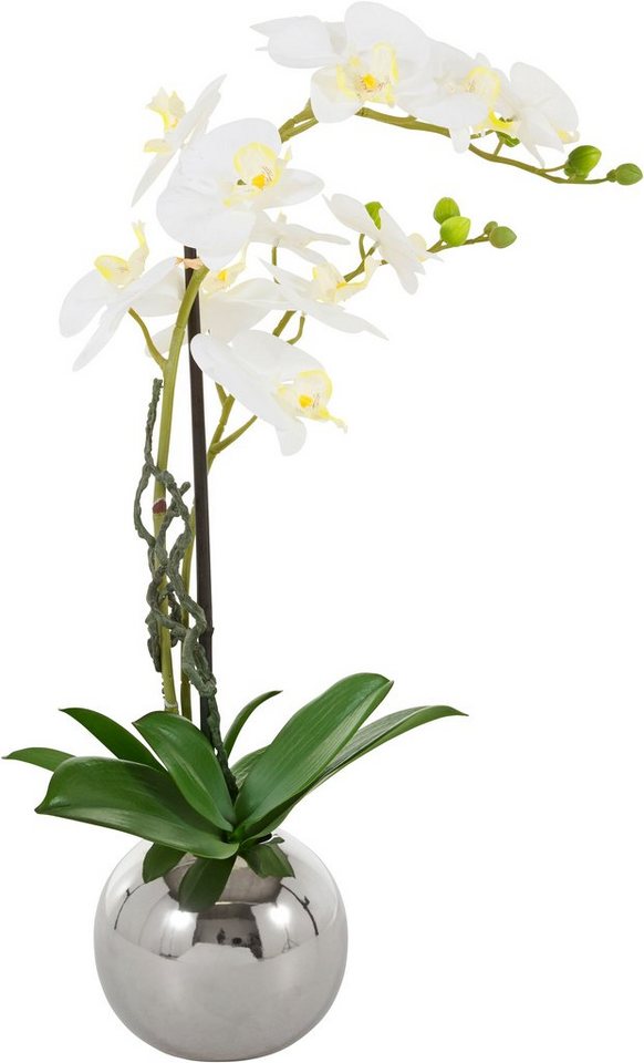 Kunstorchidee Cosidena Orchidee, Guido Maria Kretschmer Home&Living, Höhe 60 cm, Kunstpflanze, im Topf aus Keramik von Guido Maria Kretschmer Home&Living