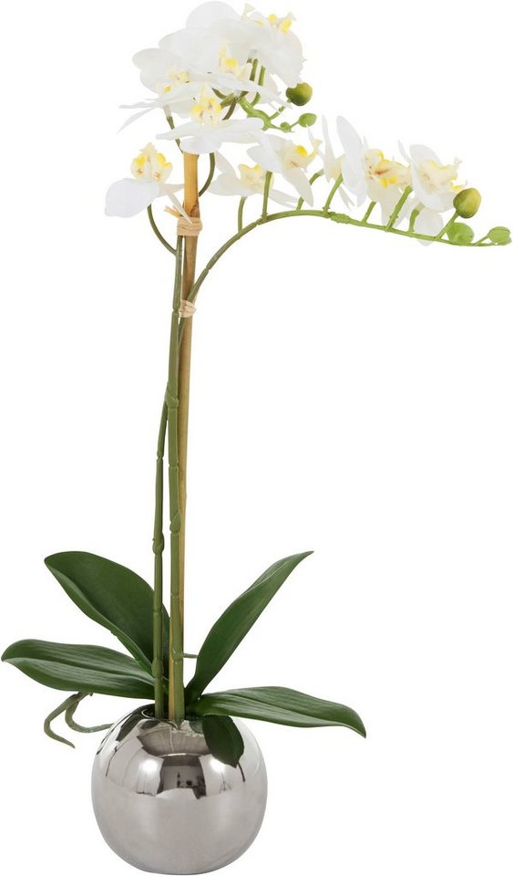 Kunstorchidee Voguish Orchidee, Guido Maria Kretschmer Home&Living, Höhe 39 cm, Kunstpflanze, im Topf aus Keramik von Guido Maria Kretschmer Home&Living