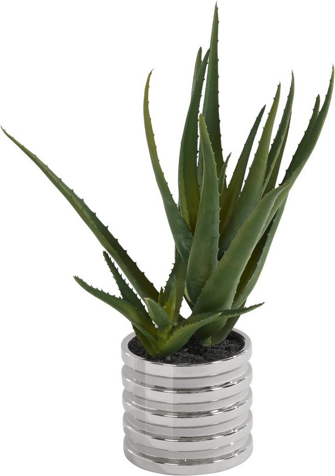 Kunstpflanze Auvergno Aloe, Guido Maria Kretschmer Home&Living, Höhe 40 cm, Sukkulente, im Topf von Guido Maria Kretschmer Home&Living