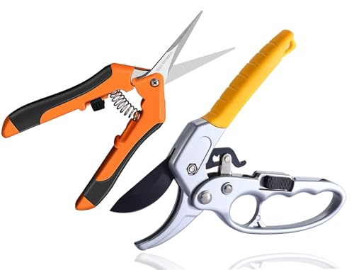 2 Mehrzweck-Gartenschere,Ratschen Gartenschere,Baumschere mit EIN-und Ausschalten der Ratsche+Rosen-Pflanzenschere, AST Ambossschere holzige Zweige Äste Schnittstärke bis 24 mm;Bypass Amboß Schere von Guidre