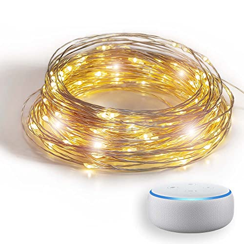 GuirLED - Lichterkette WiFi Mini LED USB – Sprachsteuerung – vernetztes Haus – Amazon Alexa & Google Assistant – 100 LEDs 10 Meter – Silber Filament GuirLED - Lichterkette WiFi Mini LED USB – Sprachsteuerung – vernetztes Haus – Amazon Alexa & Google Assistant – 100 LEDs 10 Meter – Silber Filament von GuirLED