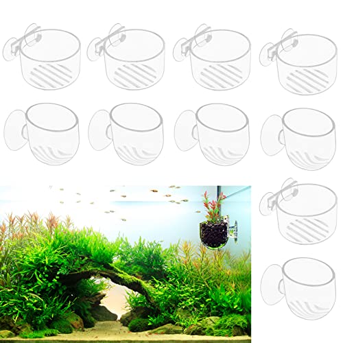 Gukasxi 10 Stück Aquarium Pflanzenhalter Mit Saugnapf Aquarium Plant Cup Pflanzen Halter Saugnapf Pflanzgefäß für Aquarium Landschaft Mini Fish Tank Decoration von Gukasxi