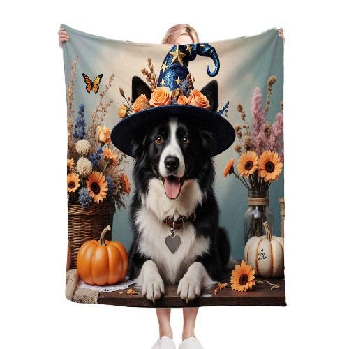 Gumntun Kuscheldecke 200x220 cm Halloween-Border Collie, Exquisite und Warme Fleecedecke für Bett Sofa Schlafzimmer, Weiche Flauschig Plüsch Decke 200x220 cm für Ganze Saison Gumntun Kuscheldecke 200x220 cm Halloween-Border Collie, Exquisite und Warme Fleecedecke für Bett Sofa Schlafzimmer, Weiche Flauschig Plüsch Decke 200x220 cm für Ganze Saison von Gumntun