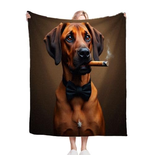 Gumntun Kuscheldecke Flauschige 180x200 cm Brauner Tierhund, Decke mit Weichem Anti-Pilling-Flanell, Unschlagbar Weich Plüsch Wohndecke für Erwachsene und Kinder zum Geschenke von Gumntun
