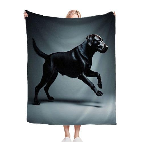 Gumntun Kuscheldecke Kinder 130x150 cm Schwarzer Labrador Retriever, Sofa Couch Wohn Bett Fleecedecke für Geschenke, Sofadecke Kinderdecke für Mädchen Junge Passend zu Allen Jahreszeiten von Gumntun